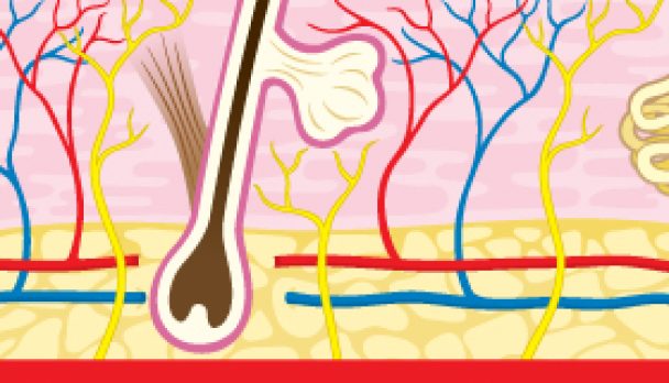 Dermatology_SQUARE-resized