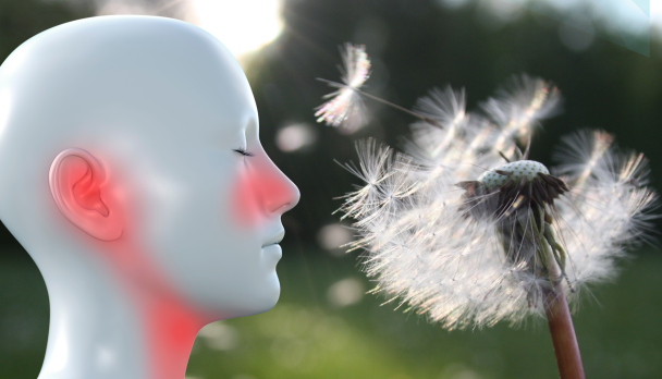 MicrosoftTeams-image-12