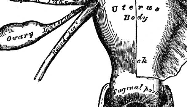 Monograph 21 Feature Image