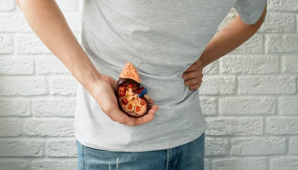 Kidney,Diseases.,Man,Suffering,From,Pain,With,Inflammation,And,Kidney