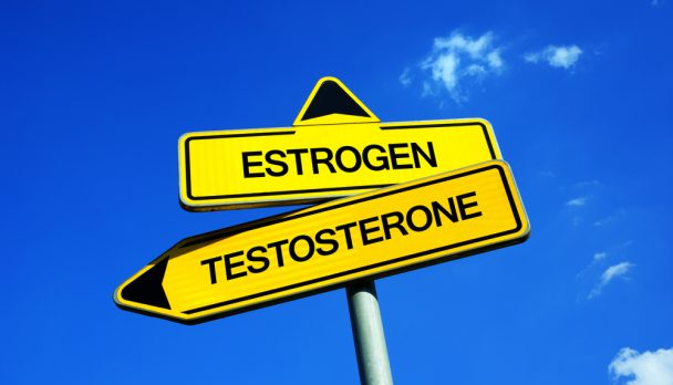 Estrogen,Vs,Testosterone,-,Traffic,Sign,With,Two,Options,-