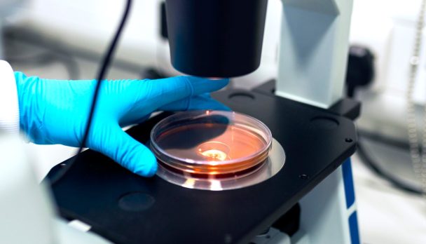 pexels-thisisengineering-3912365