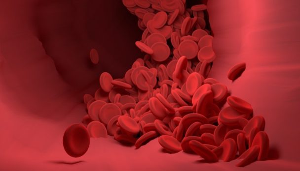 red-blood-cells-4256710_1280
