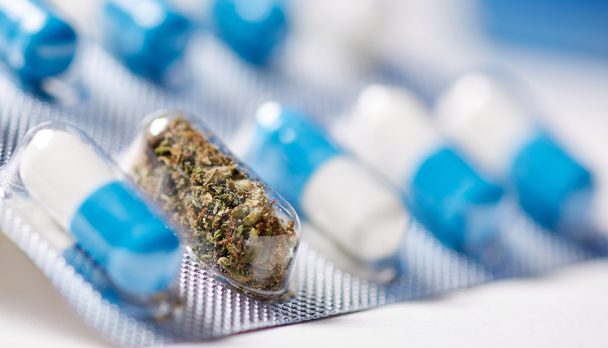 Legalizing marijuana for medical purposes in North America. A capsule of dried medicinal cannabis among hard shell capsules in the aluminum blister pack, side view. Legal weed as a painkiller concept.