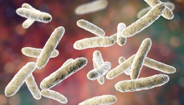 shutterstock_1250883511