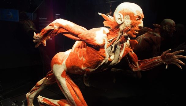 shutterstock_1275690106