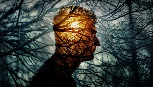 Head,Of,A,Man,On,Background,Of,Trees,In,Forest.