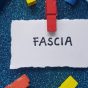 Fascia,Writting,On,Blue,Background.