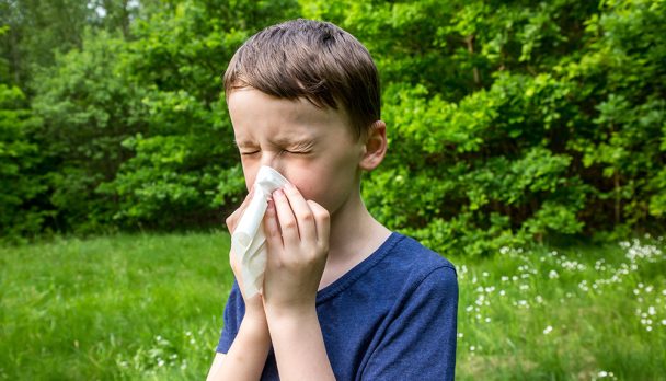 shutterstock_433687381