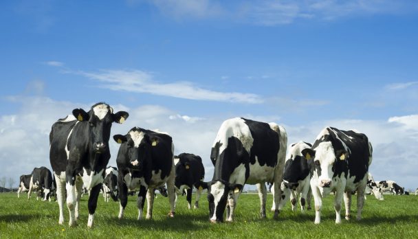 shutterstock_680944396