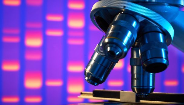 shutterstock_95385229